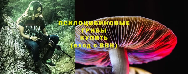 ПСИЛОЦИБИНОВЫЕ ГРИБЫ Коряжма