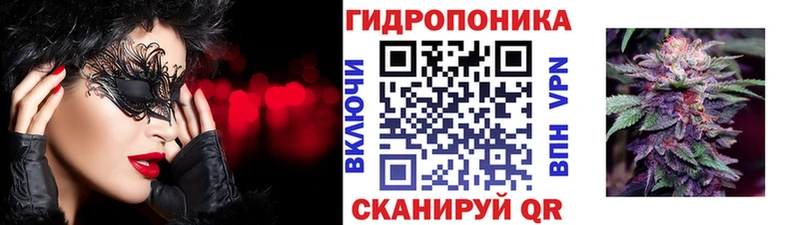 МЕГА как зайти  Куса  Шишки марихуана тримм 